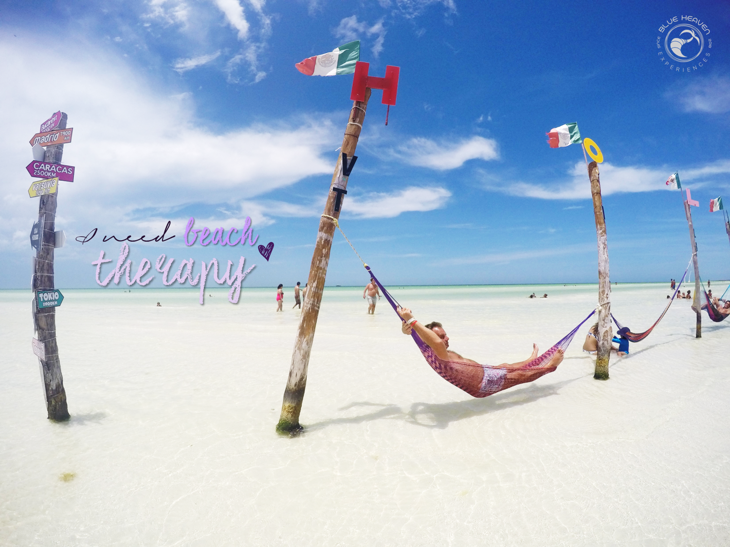 persoonlijk, kleinschalig, nederlandstalig, betaalbaar, all in,excursie, avontuur, haven, boottocht, yalahau, cenote, zwemmen, blauw water, natuur, passie eiland, zandbank, vogels, dolfijn, holbox, foto, golfkar, zandweg, plezier, geweldig, oude boom, 