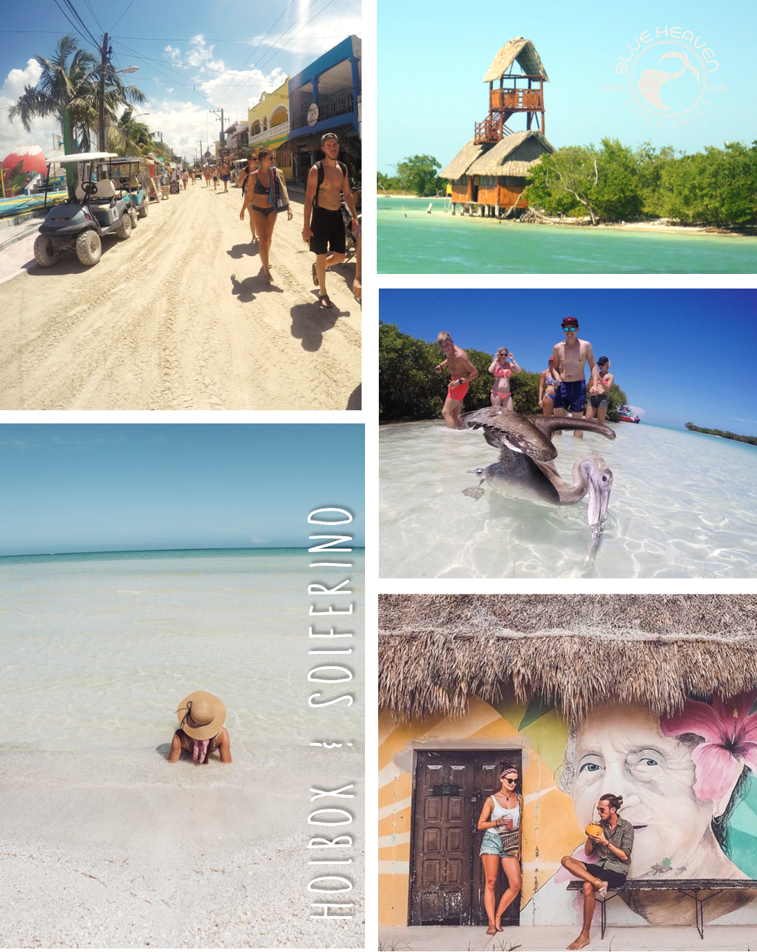 "Excursies Playa del Carmen" "Nederlandstalige excursies Mexico" "Kleinschalige excursies Riviera Maya" "Privé excursies Playa del Carmen" "All inclusive excursies Mexico" "Excursies met Nederlandse gids Playa del Carmen" "Betaalbare excursies Mexico" "Ge
