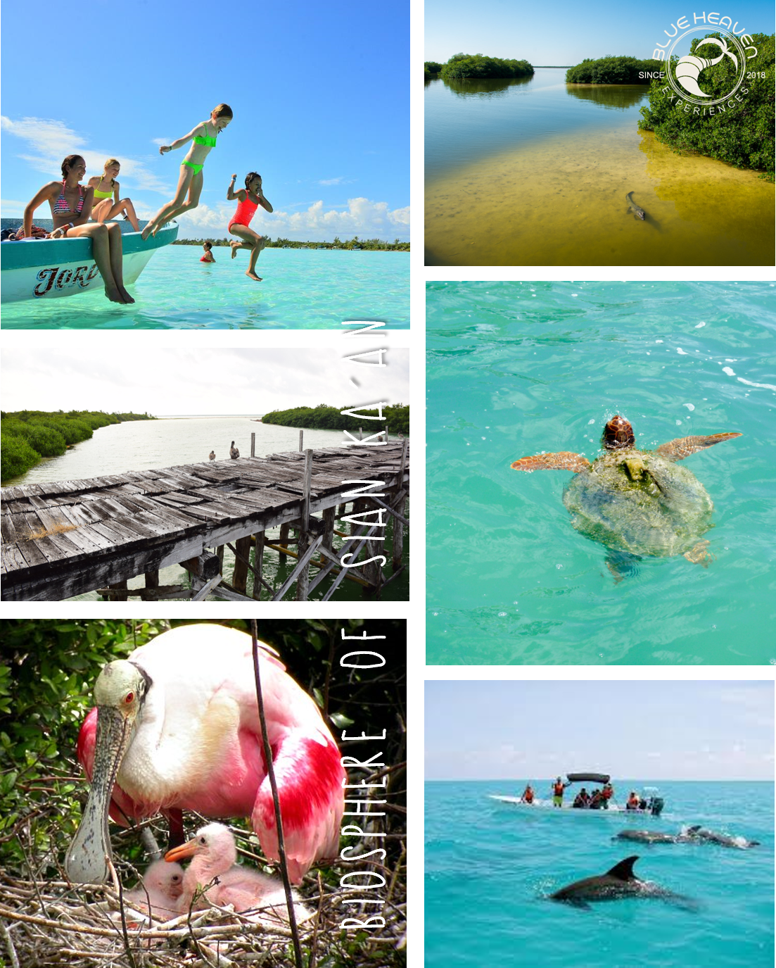 "Excursies Playa del Carmen" "Nederlandstalige excursies Mexico" "Kleinschalige excursies Riviera Maya" "Privé excursies Playa del Carmen" "All inclusive excursies Mexico" "Excursies met Nederlandse gids Playa del Carmen" "Betaalbare excursies Mexico" "Ge
