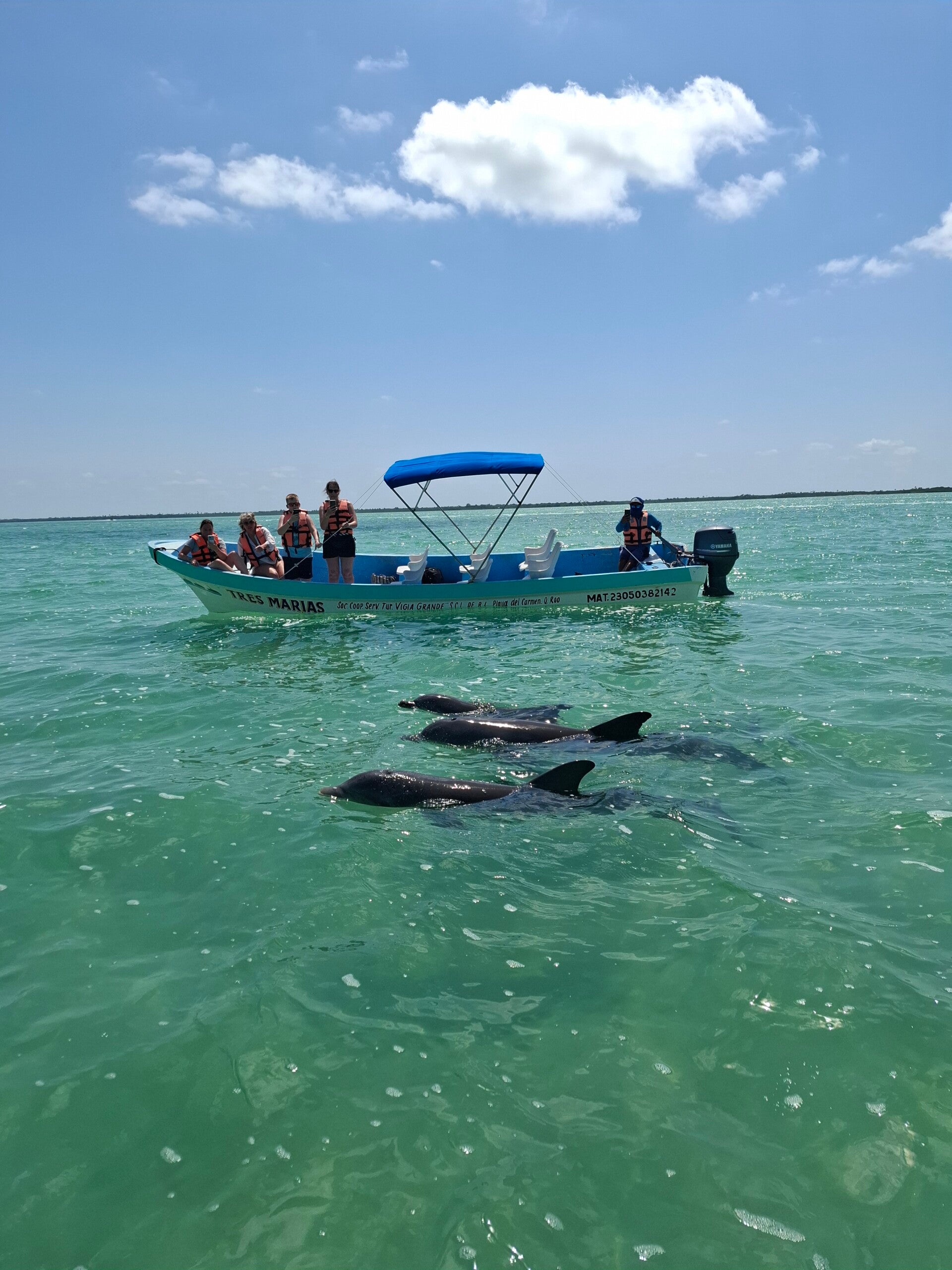 persoonlijk, kleinschalig, nederlandstalig, betaalbaar, all in, excursie, natuur, reservaat, sian ka'an, avontuur, foto, brug, mangroven, krokodil, boottocht, zeevogels, dolfijn, schildpad, snorkelen, natuurlijk zwembad, blauw water, plezier, 
