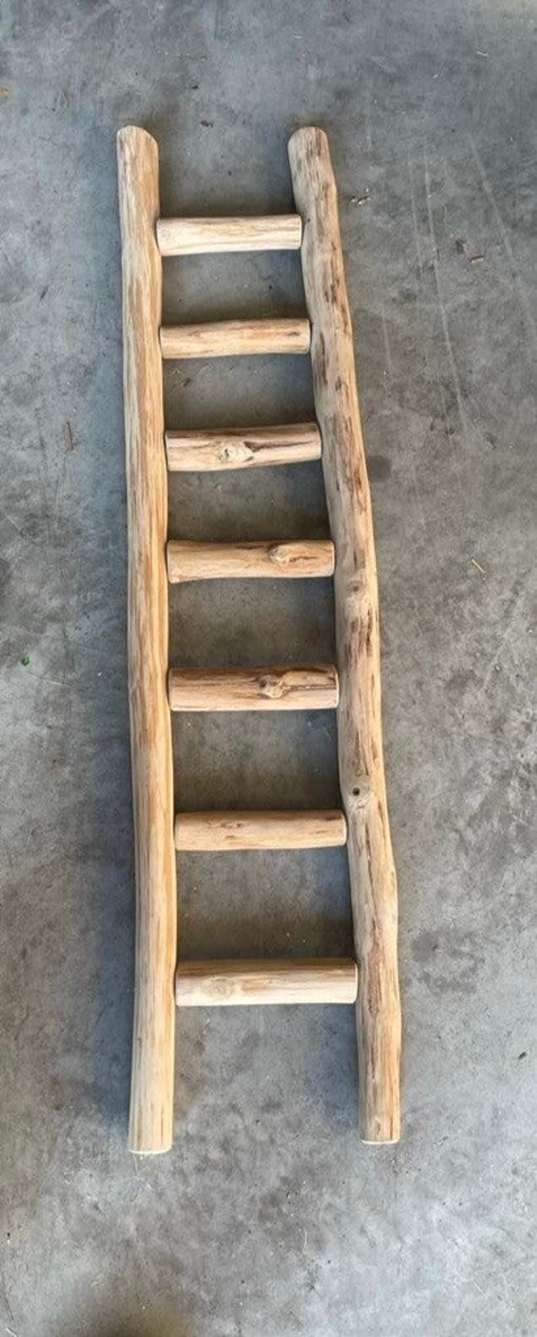 Ladder     1 M    small            L102.           -2