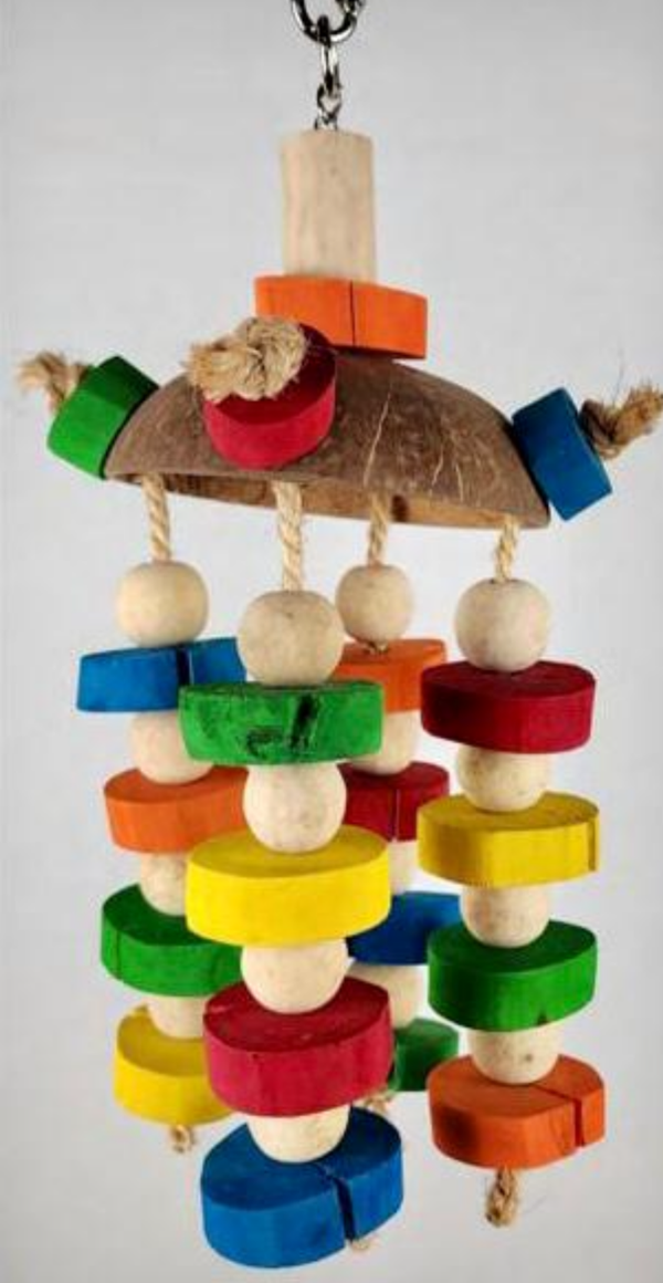 Montana    JT020     -2