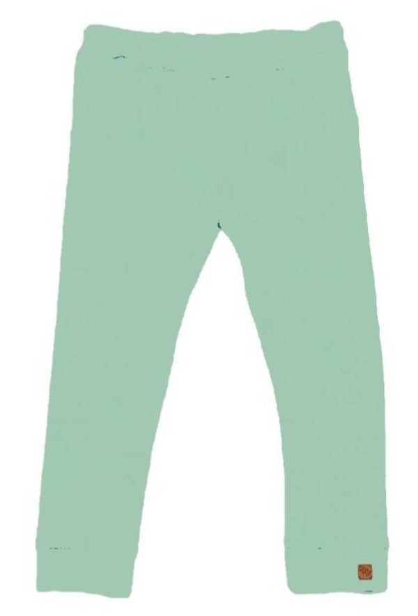 Prematuur broek mint