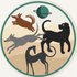 Spacedogs Hundetraining