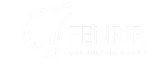 FENRIR CONSULTING
