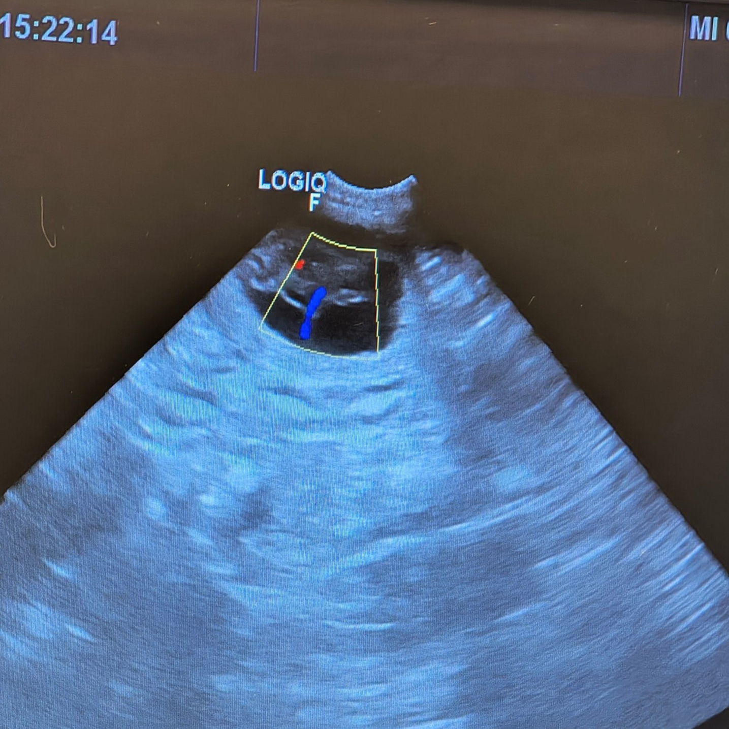 Wir erwarten unseren O-WURF 