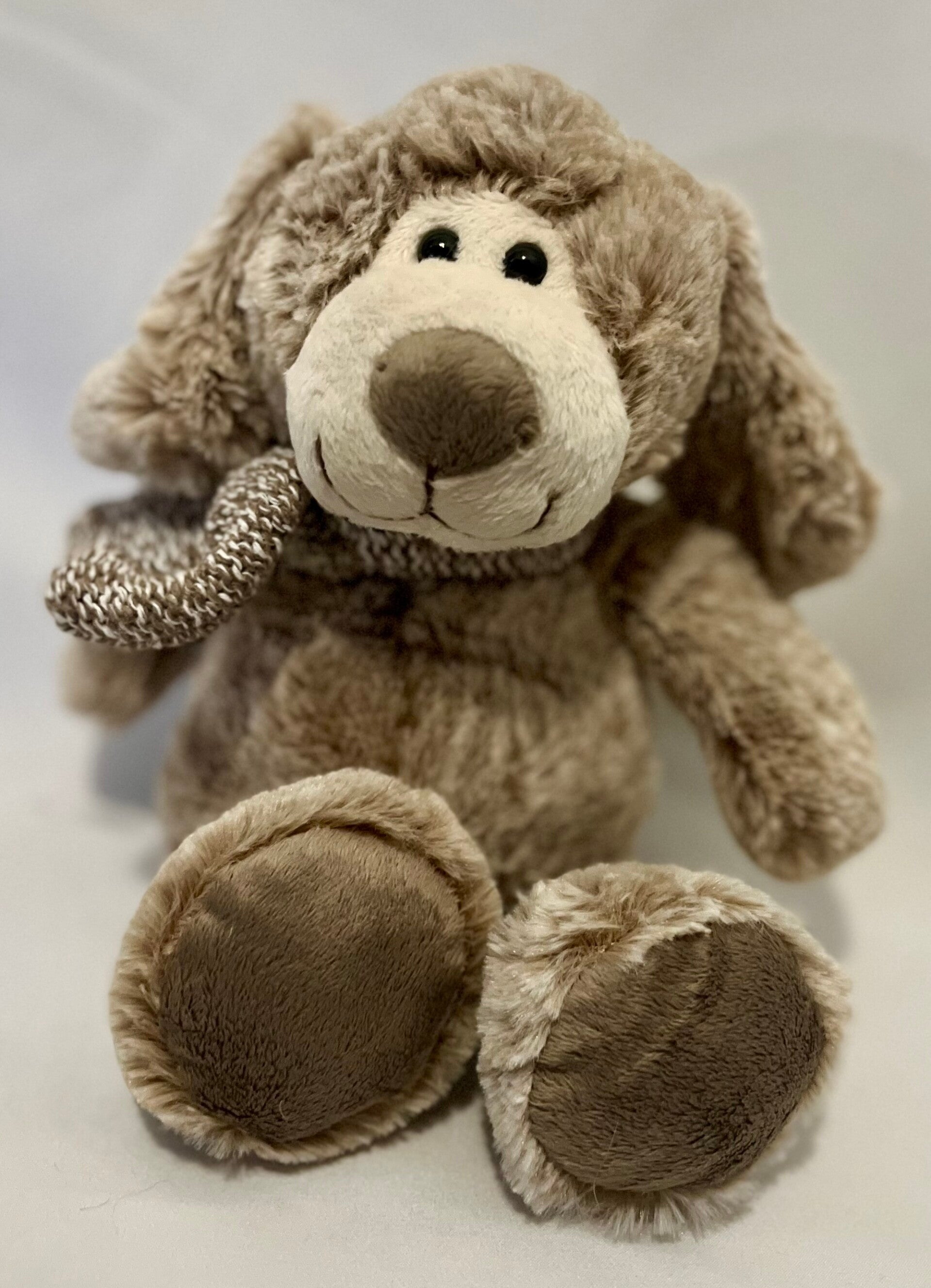 Brown dog