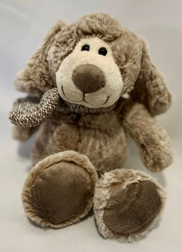 Brown dog