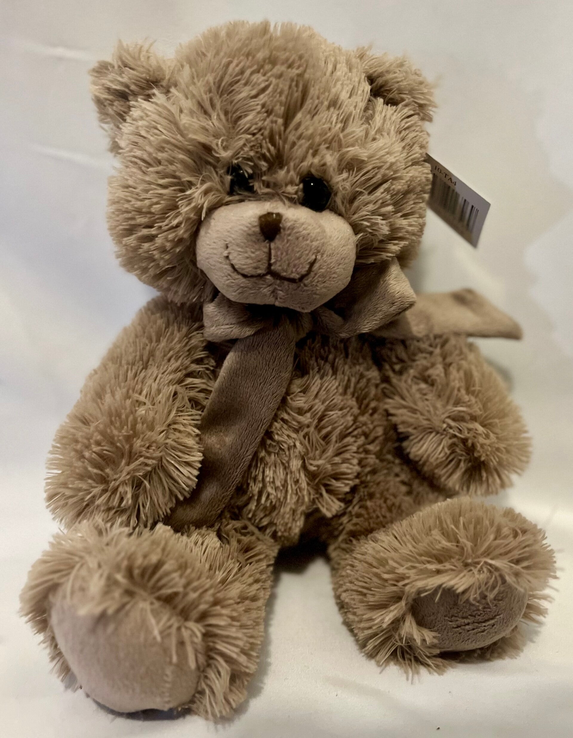 Brown Bear
