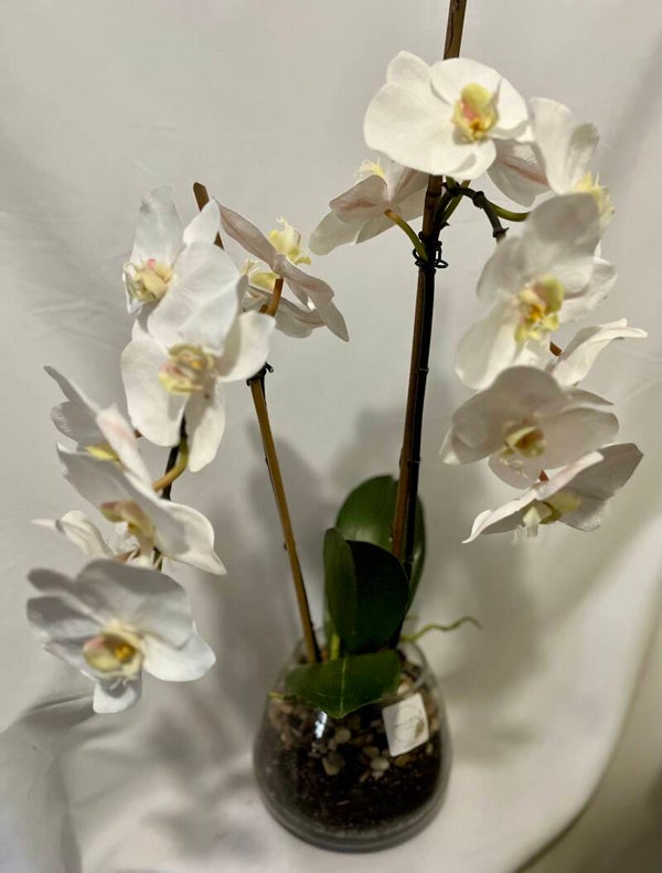 2 stem Quality Artifical Orchid Plant