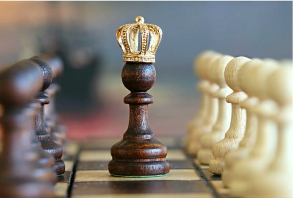 Online Training Raising Young Queens. Persoonlijk leiderschap voor Young Queens