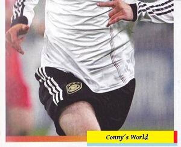 69 - Arne Friedrich 2 - Panini Deutsche Nationalmannschaft 2010