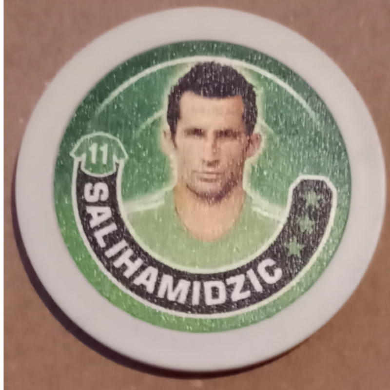 5.  Hasan Salihamidzic - Bundesliga Chipz 2011-2012