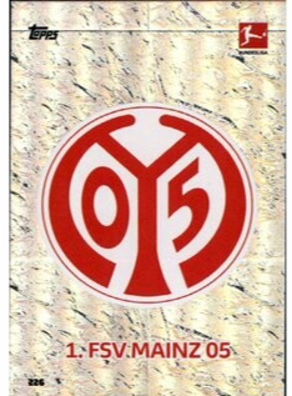 226 - Clubkarte - 1. FSV Mainz 05 - 2020/2021