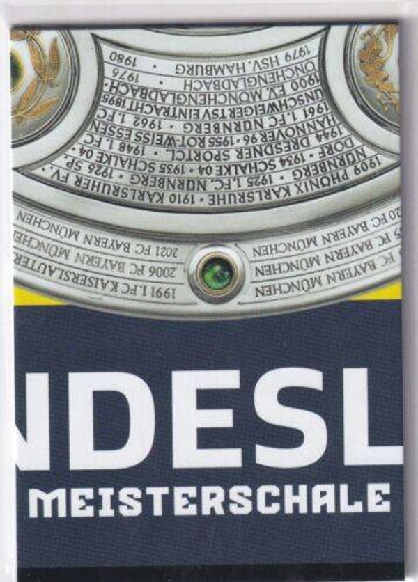 P8 - Meisterschale - Puzzle Karte - MABL 22/23