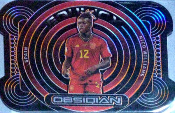 14 - Nico Williams SN65 - Spain