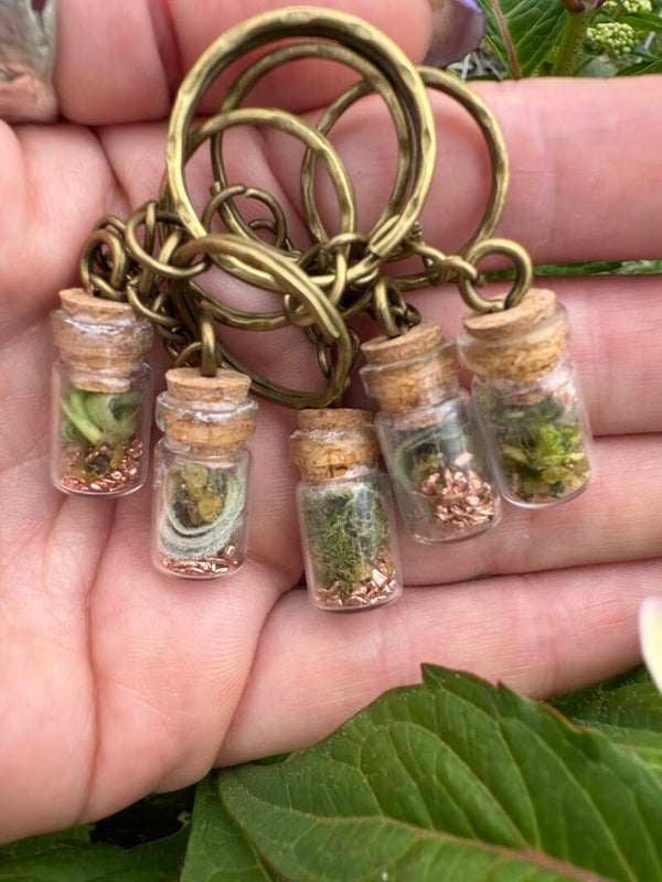 Terrarium Keychain