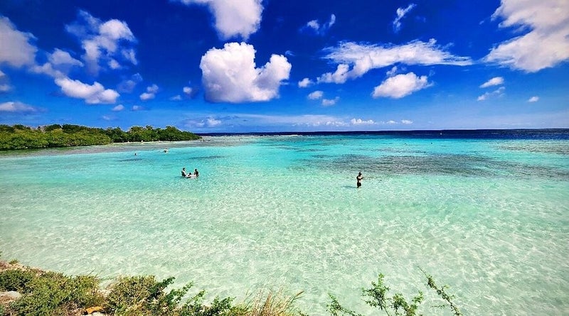 Mangel Halto Aruba