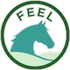 Feelyourhorse Coaching und Trauerbegleitung