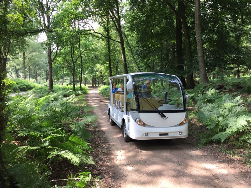 Veluwe Natuurgebied
