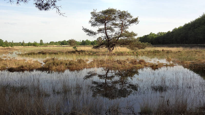 Het Veen dus nat.