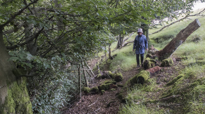 Survival of the fittest.