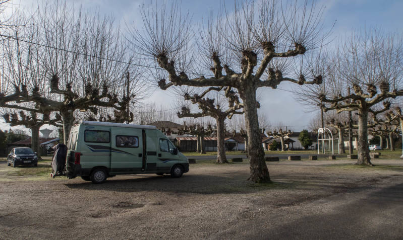 Snoeiwerk in Frankrijk