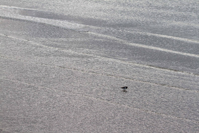 Help! Waar zijn jullie?