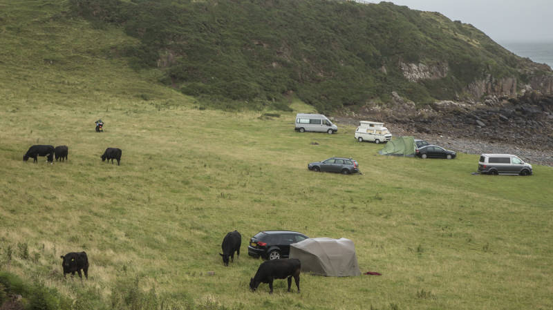 Platte tenten platte koeienvlaai