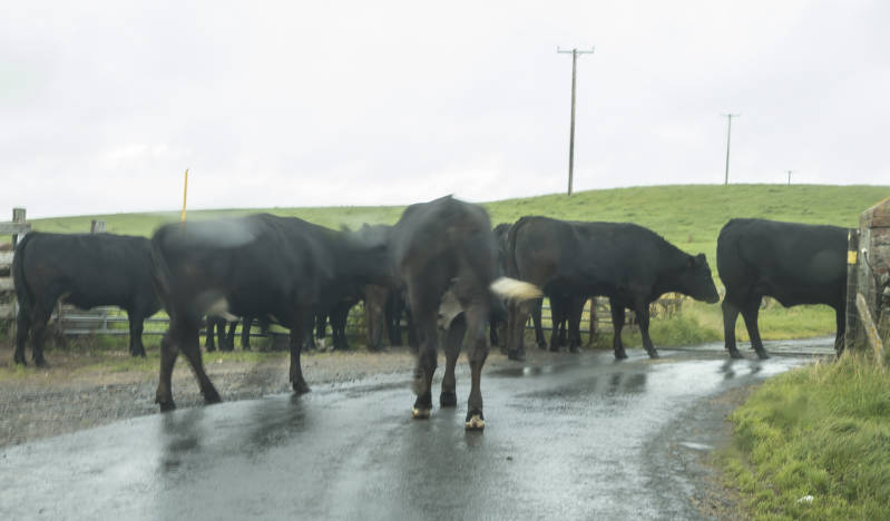 En wij blijven staan!!!