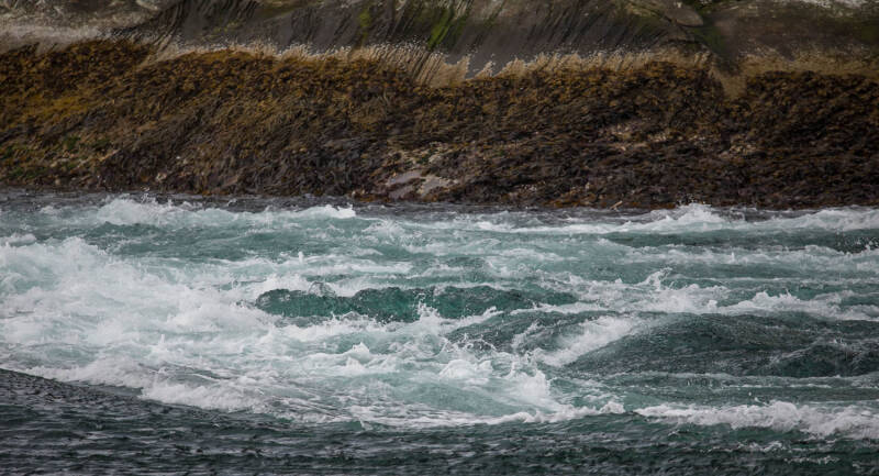 Saltstraumen Noorwegen