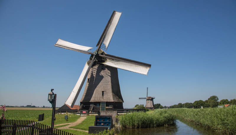 Achtkante Binnenkruier