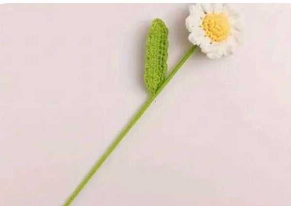 Crochet Daisy