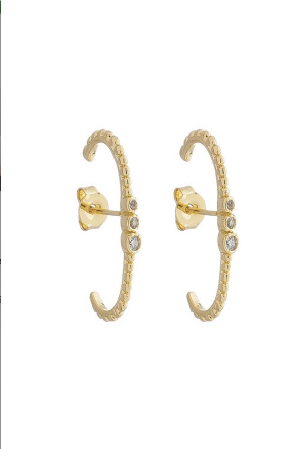 Brinco Ear hook