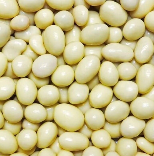 Yoghurt Covered Raisins 100g