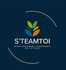 steamtoi