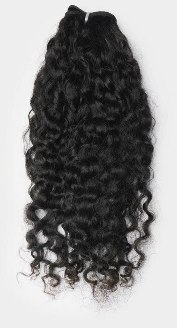 Burmese Curly