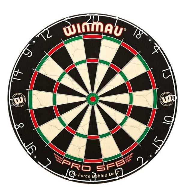 Dartbord met 2 sets pijlen