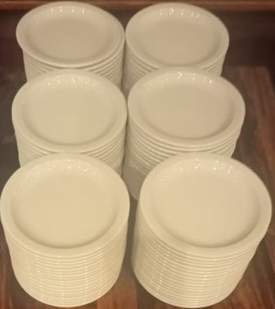 Gebaks bordjes per 10 .17cm (kwaliteit horeca)