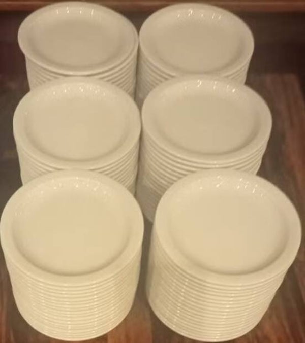Gebaks bordjes per 10 17cm (kwaliteit horeca)