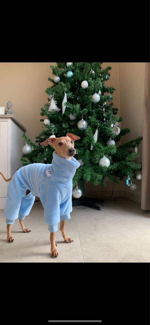 licht blauwe polar fleece