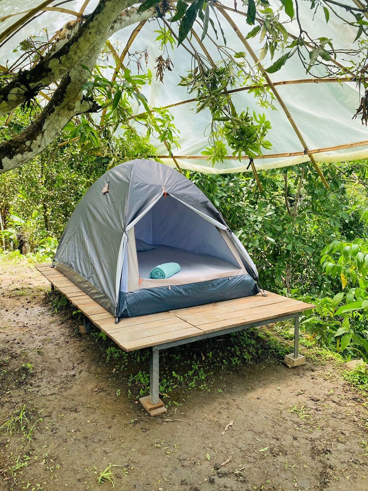 carpa-standard.jpg