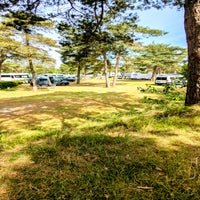 pxl_20250626_090019093-2-standard.jpg