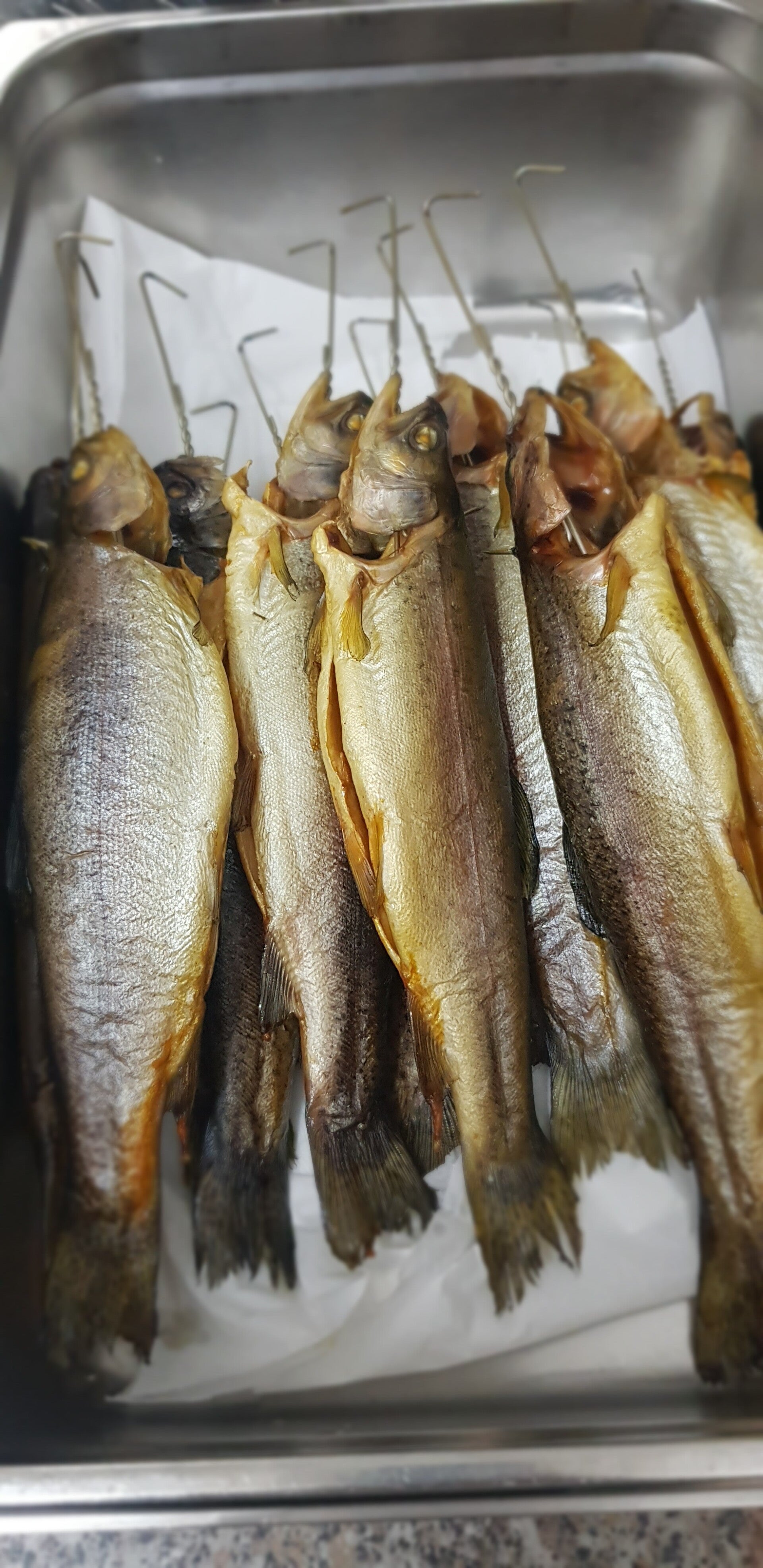 Geräucherte Regenbogenforelle