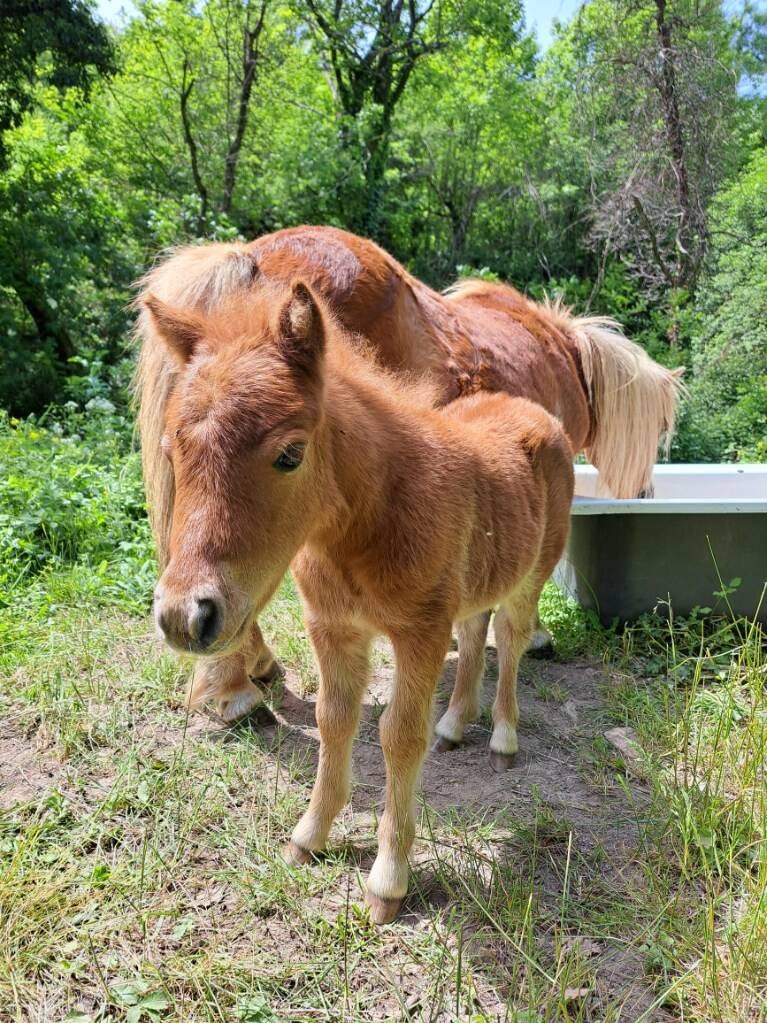 Ortografe de Conquet