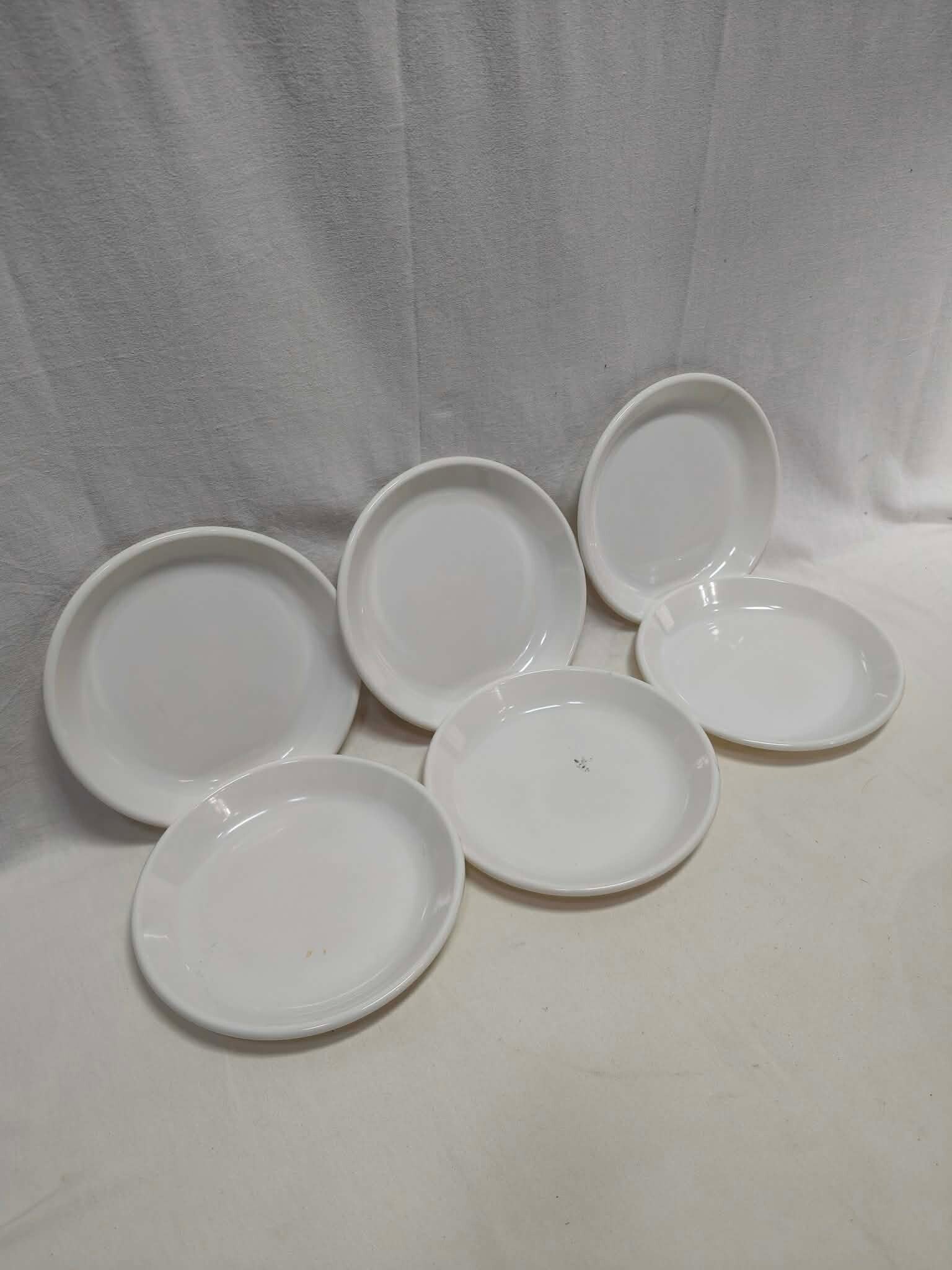 Lot de 6 assiettes plastiques