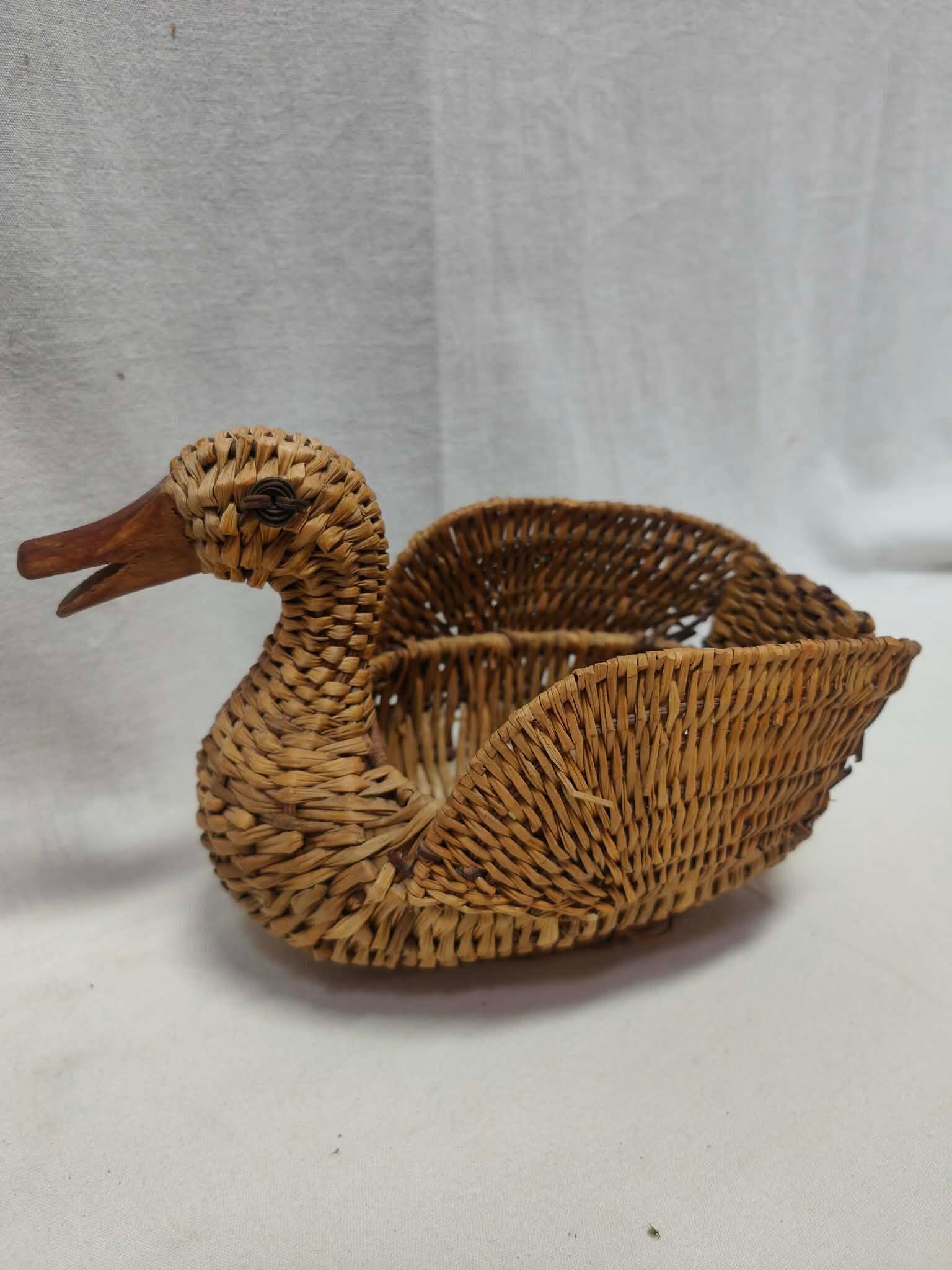 Canard osier
