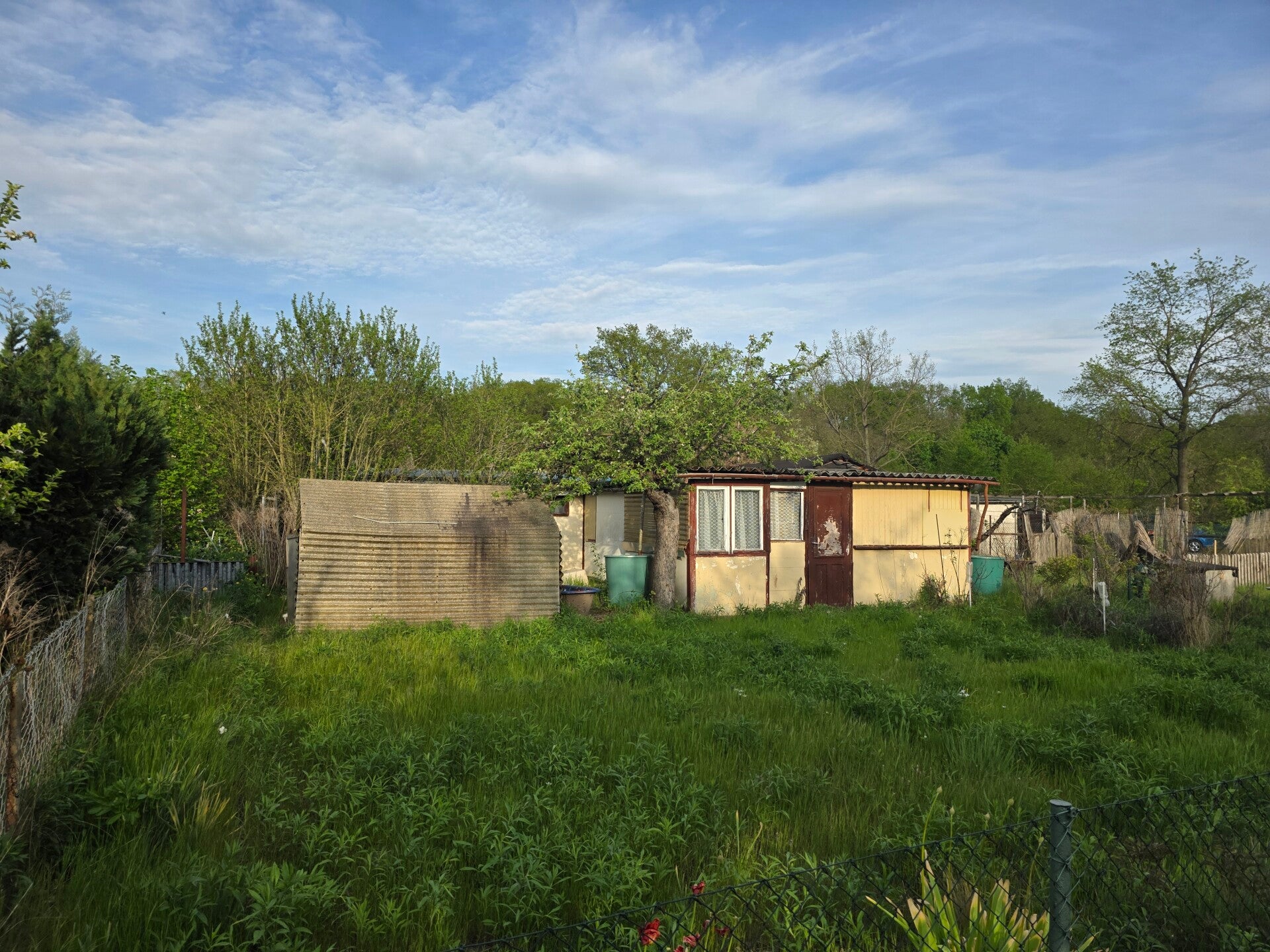 1000055870-standard.jpg