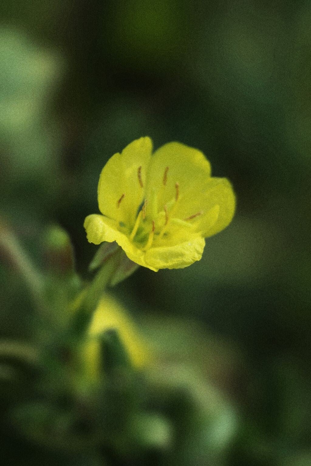 jwv_0001-nc-kopie-standard.jpg