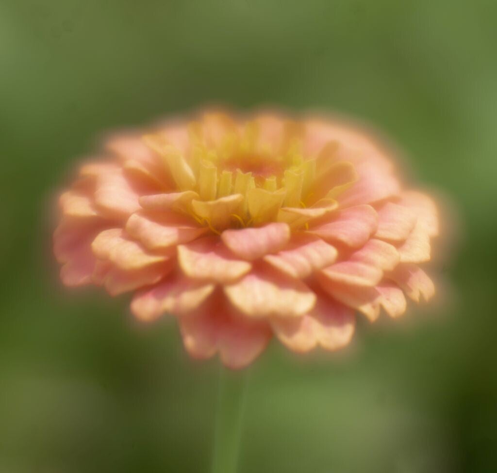 jwv_0007-kopie-standard-tx5rnt.jpg